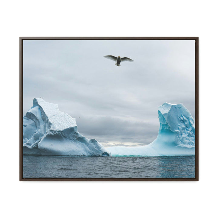 Antarctic Flight - Canvas with Frame