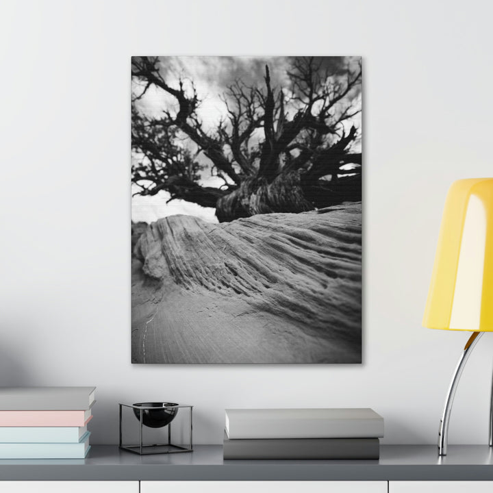 Desert Reach in Black and White - Canvas