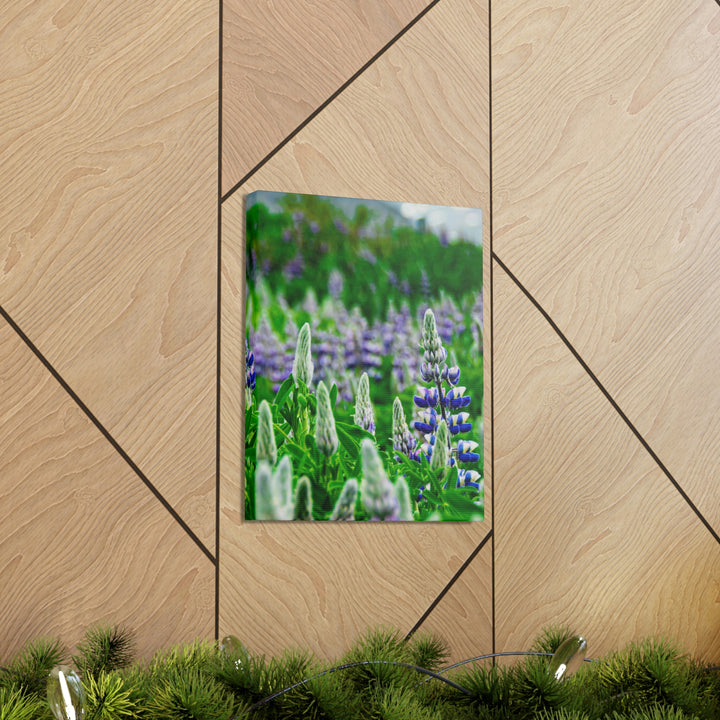 Glowing Lupin with Mountains - Canvas