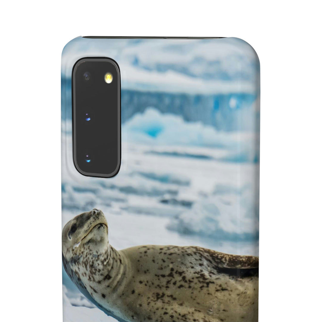 Leopard Seal Relaxing - Phone Case