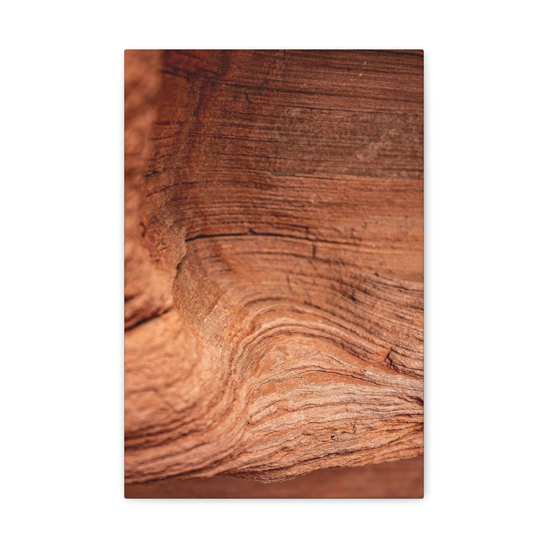 Sedimentary Rock Curves - Canvas