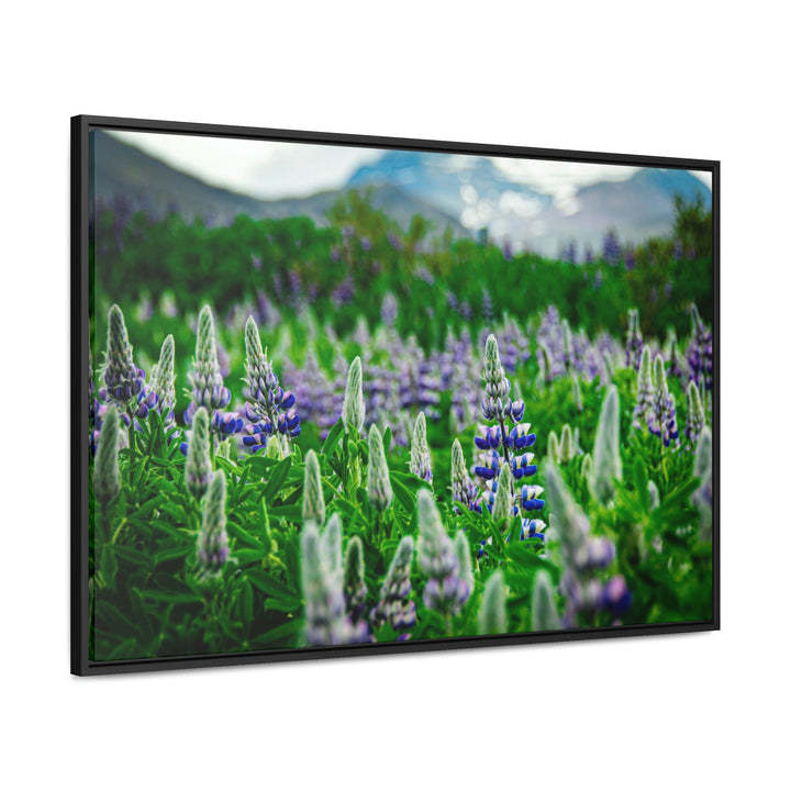 Glowing Lupin with Mountains - Canvas with Frame