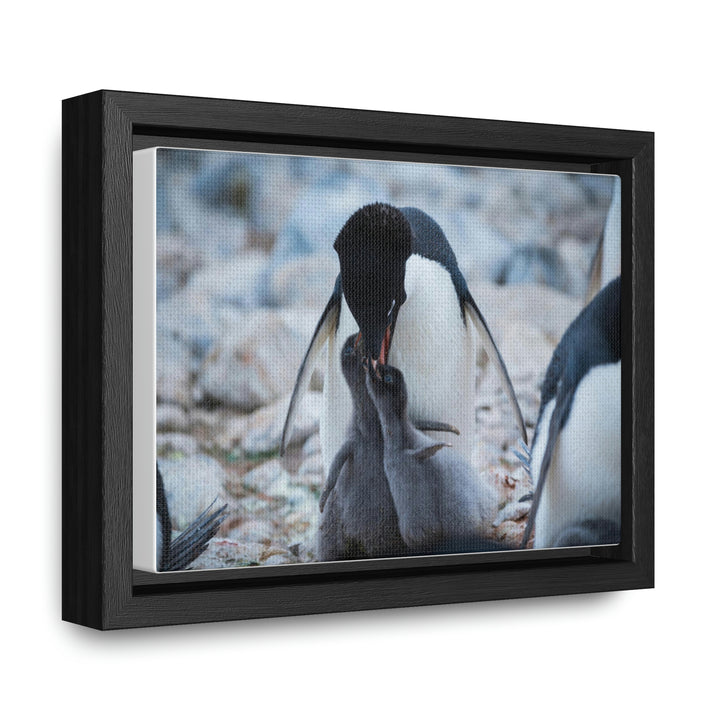 Feeding Time - Canvas with Frame