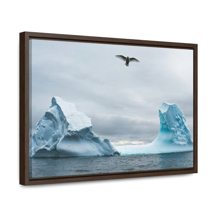 Antarctic Flight - Canvas with Frame