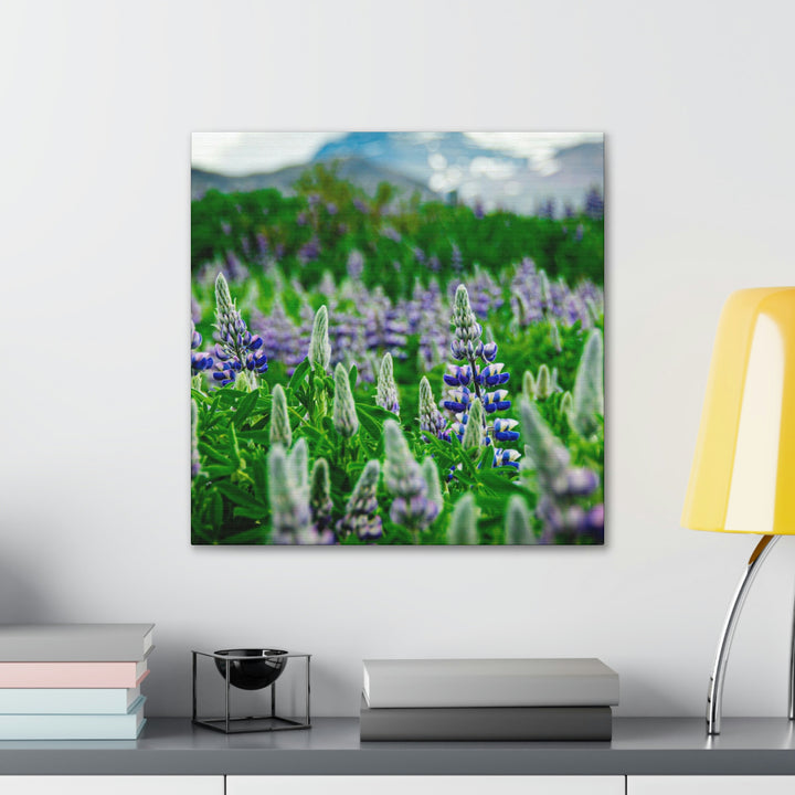 Glowing Lupin with Mountains - Canvas