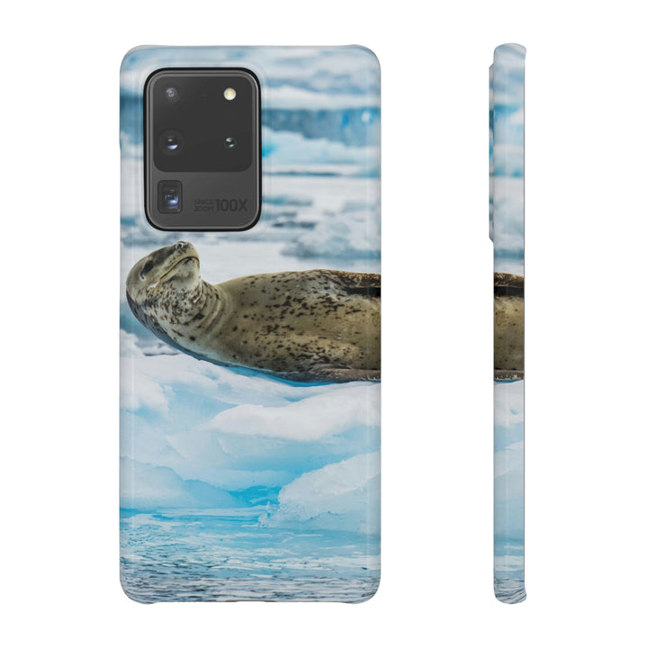 Leopard Seal Relaxing - Phone Case