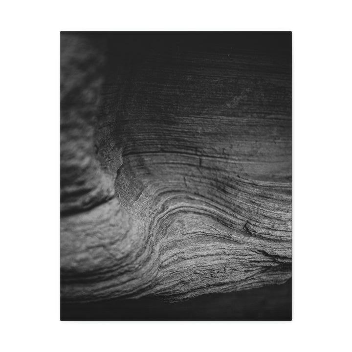 Sedimentary Rock Curves in Black and White - Canvas