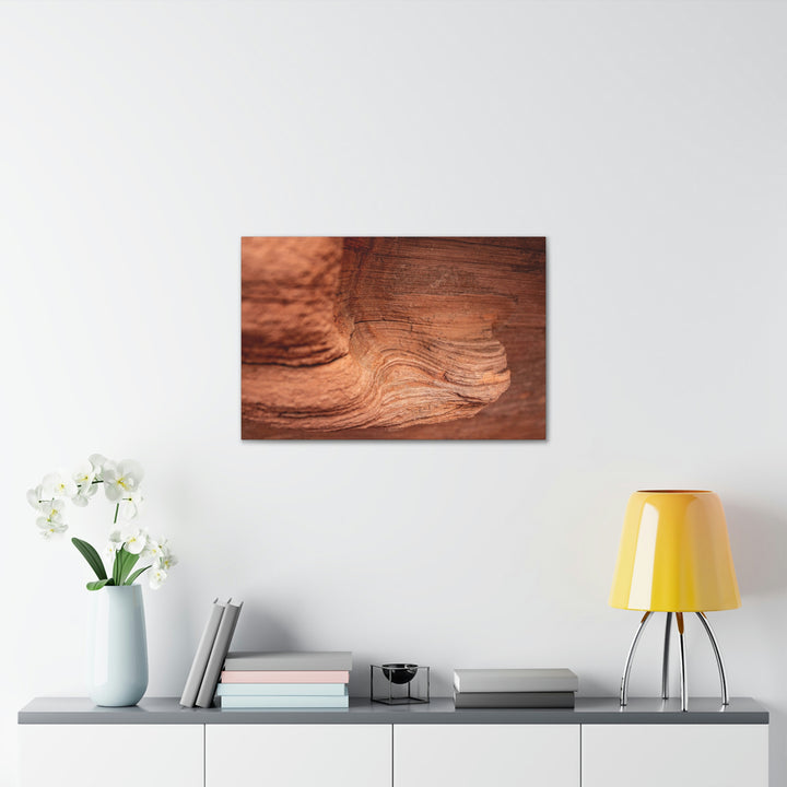 Sedimentary Rock Curves - Canvas