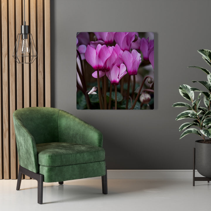 Cyclamen Reach - Canvas