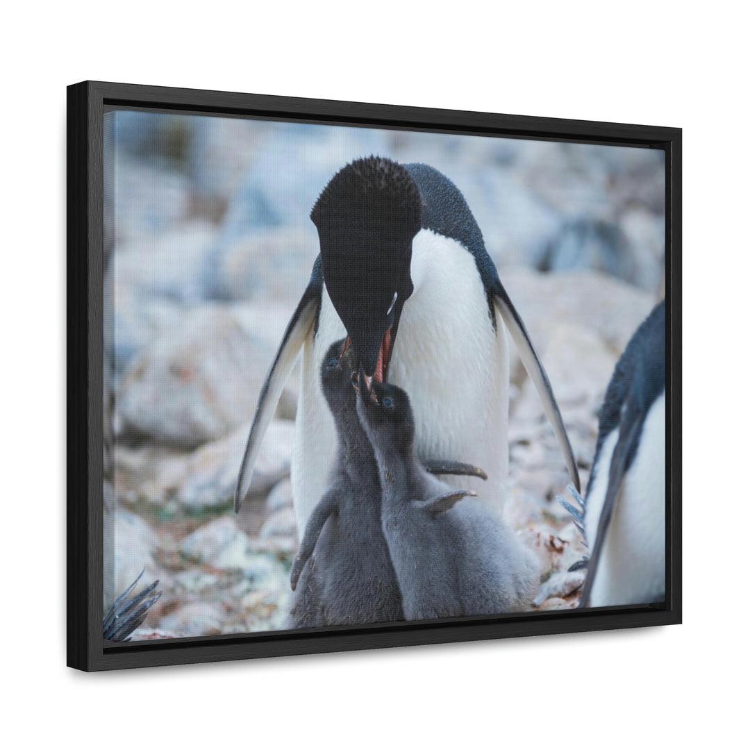 Feeding Time - Canvas with Frame