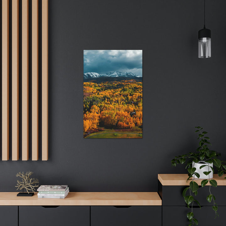 Golds of Autumn - Canvas