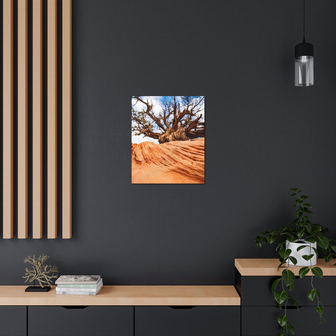 Desert Reach - Canvas