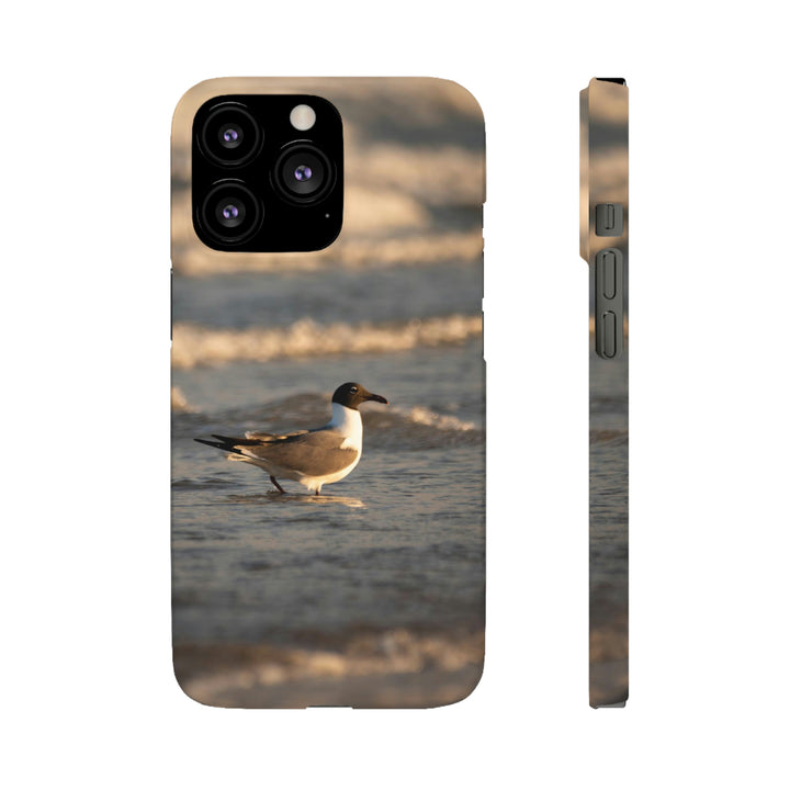 Laughing Gull in the Surf - Phone Case