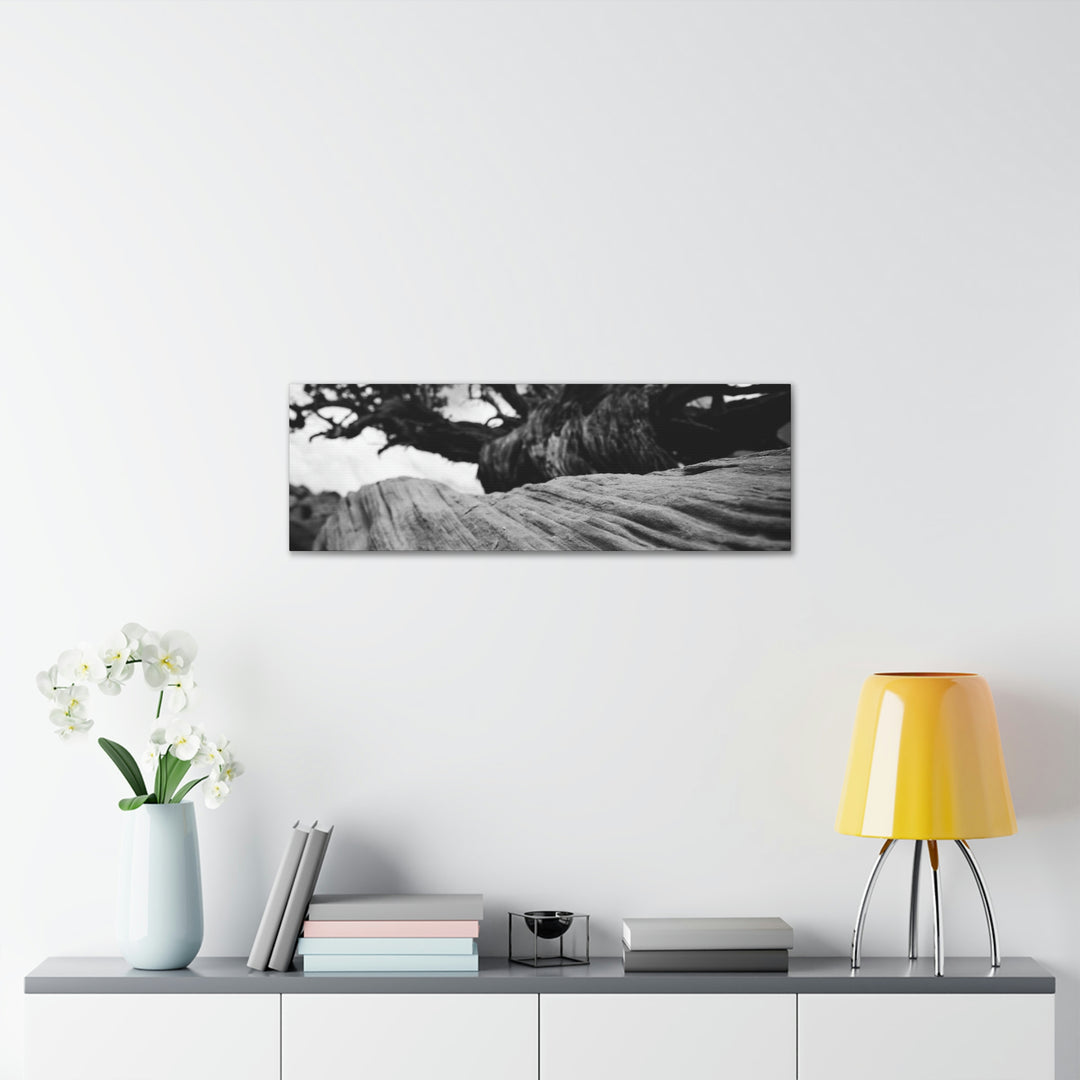 Desert Reach in Black and White - Canvas