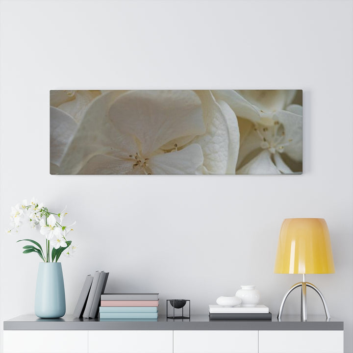 White Hydrangea Detail - Canvas