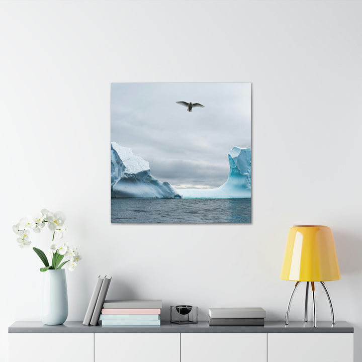 Antarctic Flight - Canvas