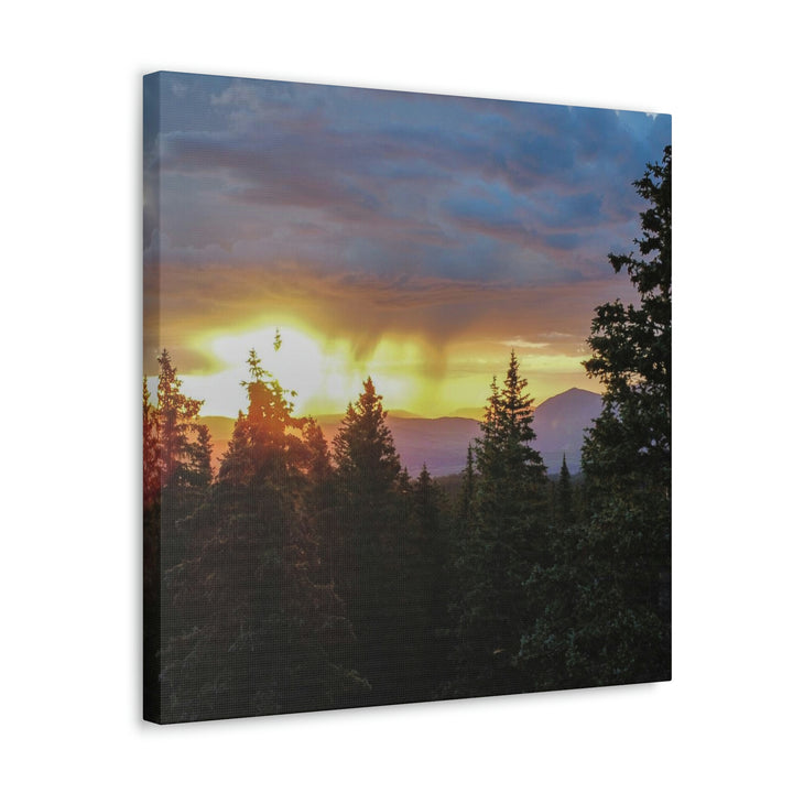 Rainy Sunset Through the Trees - Canvas