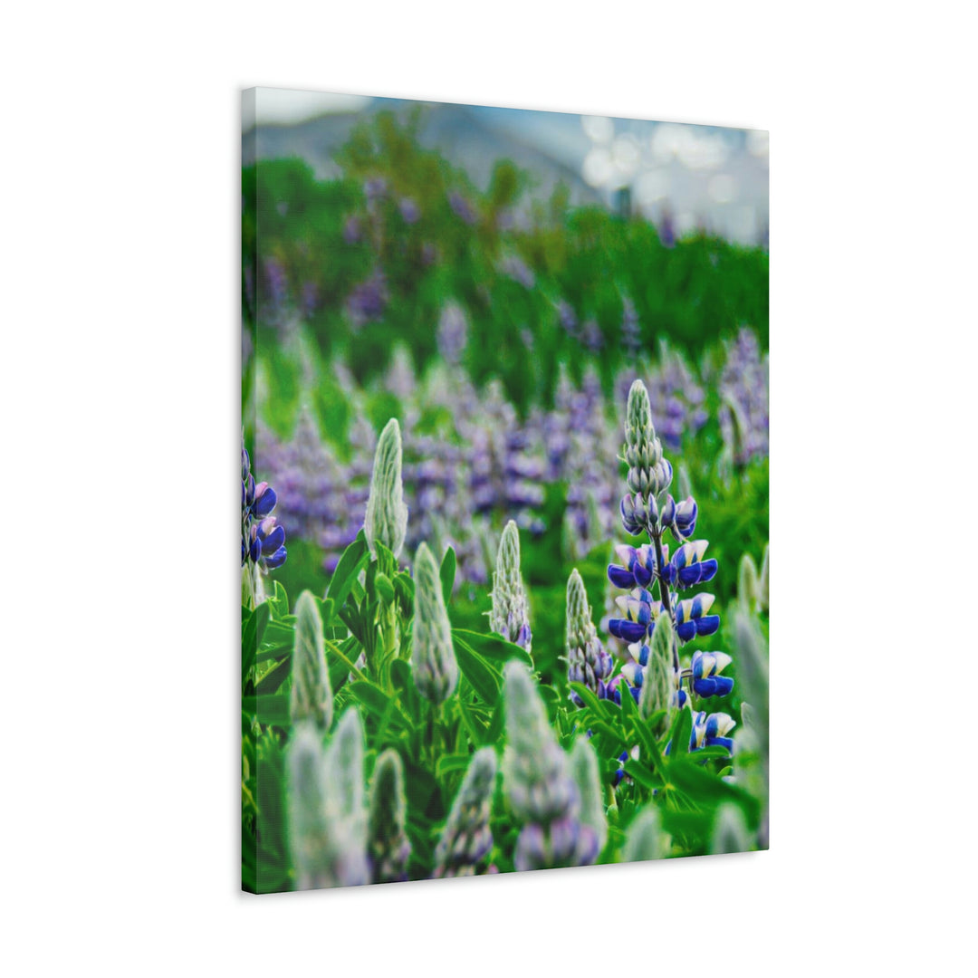 Glowing Lupin with Mountains - Canvas