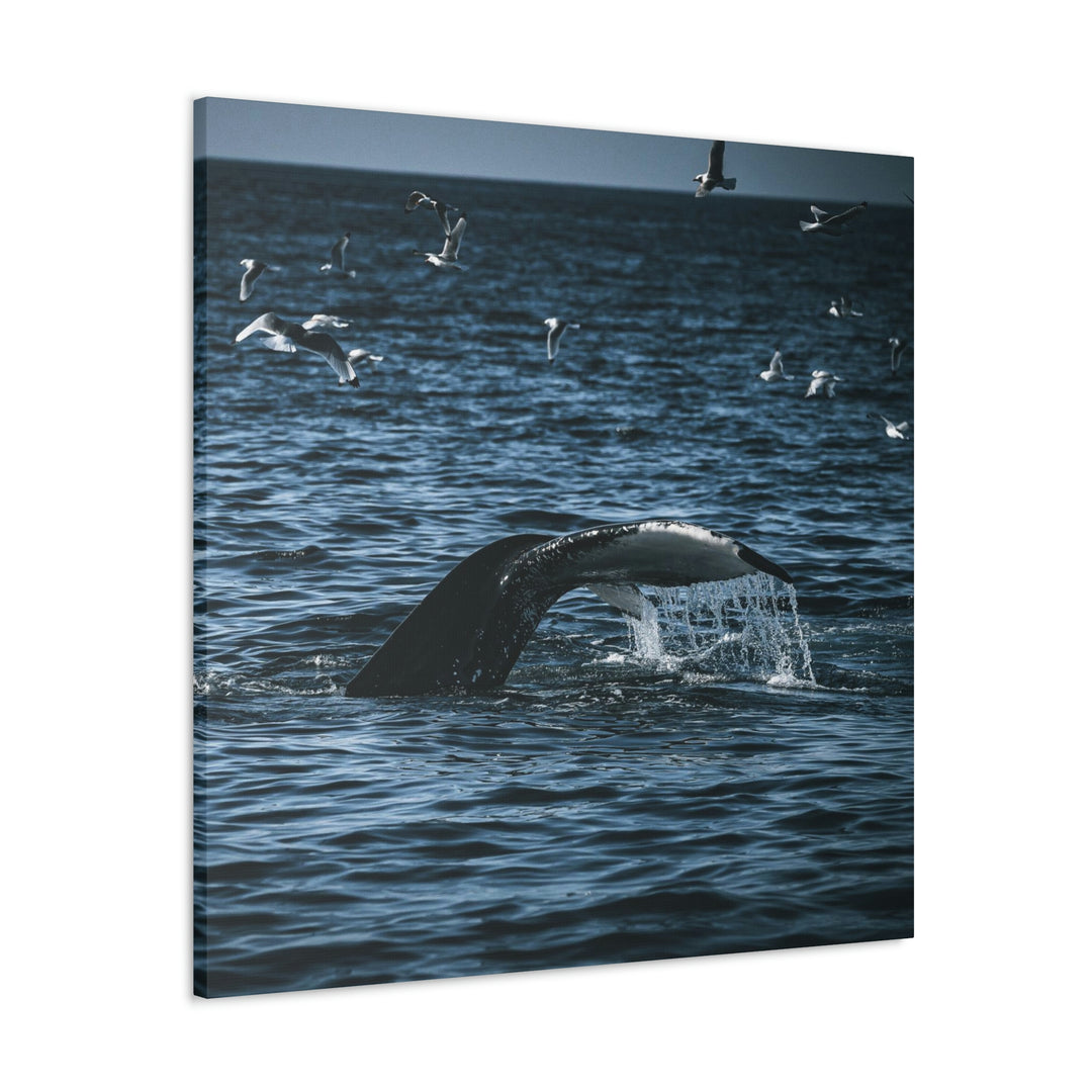 Feeding Tail - Canvas