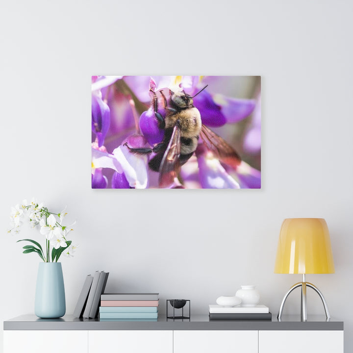 Hungry Visitor - Canvas