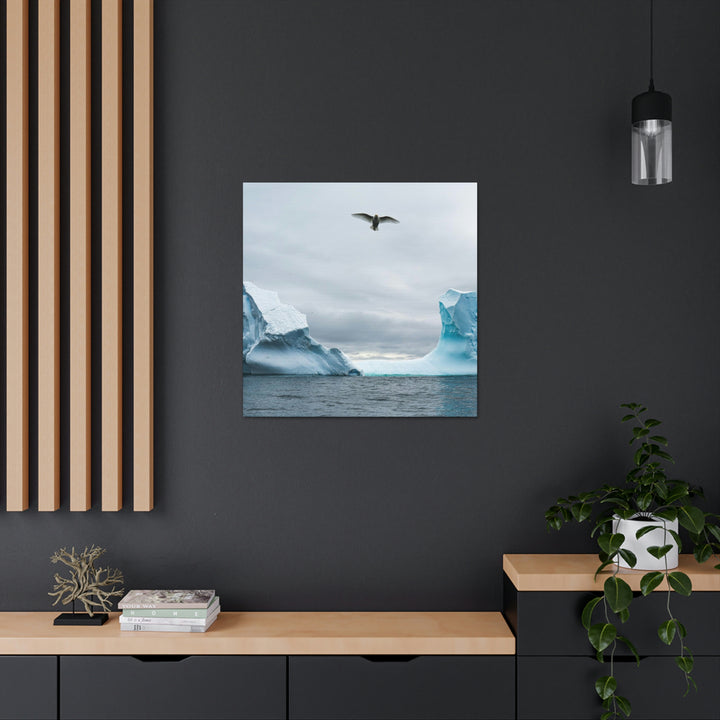 Antarctic Flight - Canvas