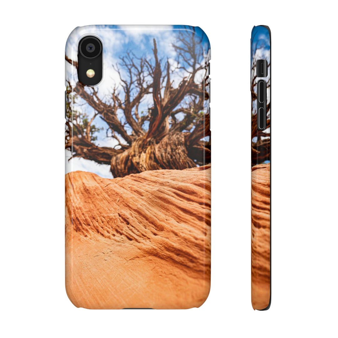 Desert Reach - Phone Case