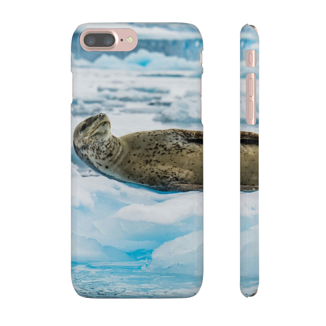 Leopard Seal Relaxing - Phone Case