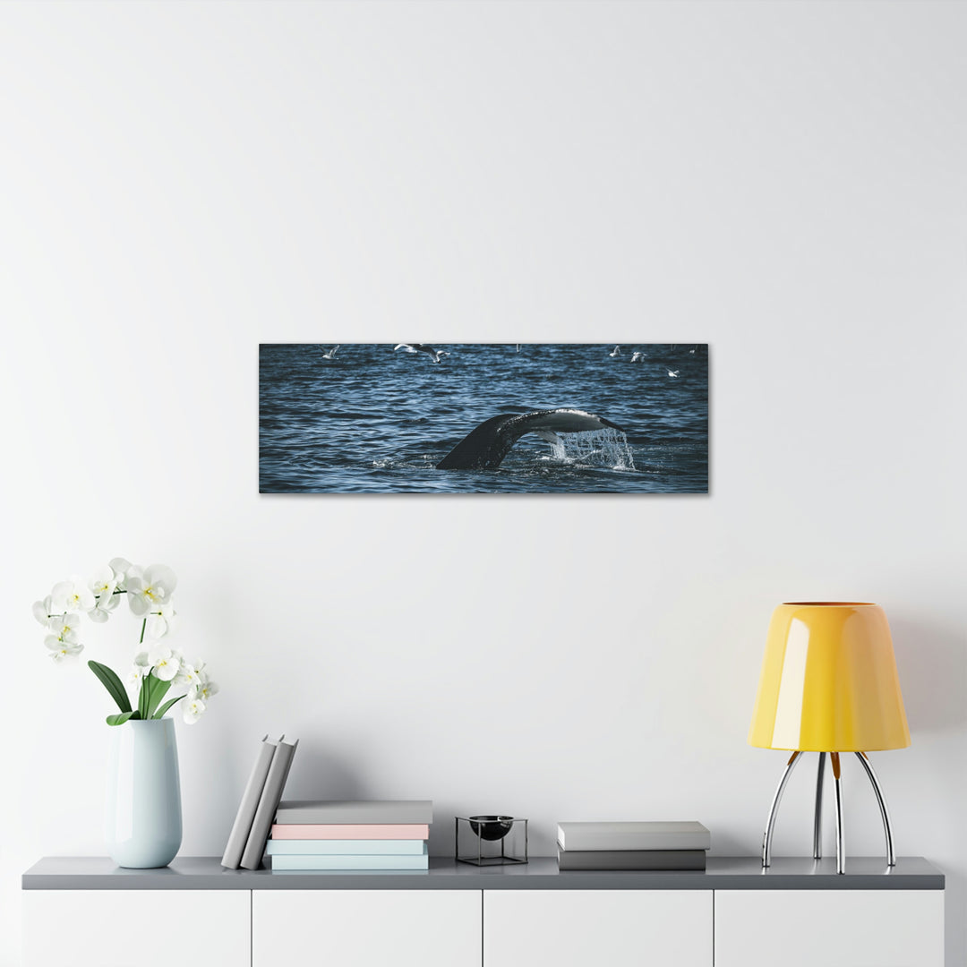 Feeding Tail - Canvas