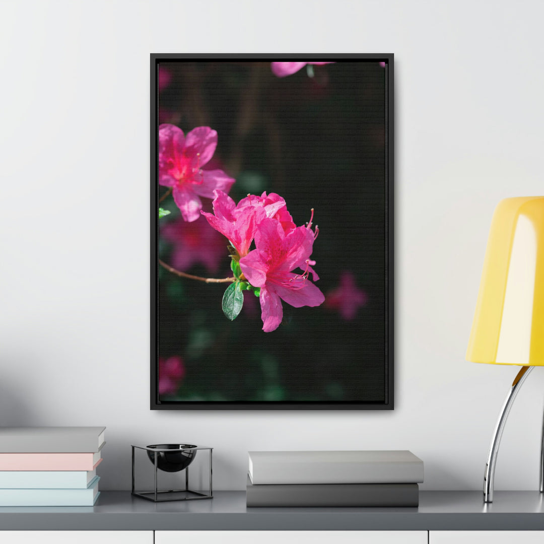 Standout Azalea - Canvas with Frame - Visiting This World