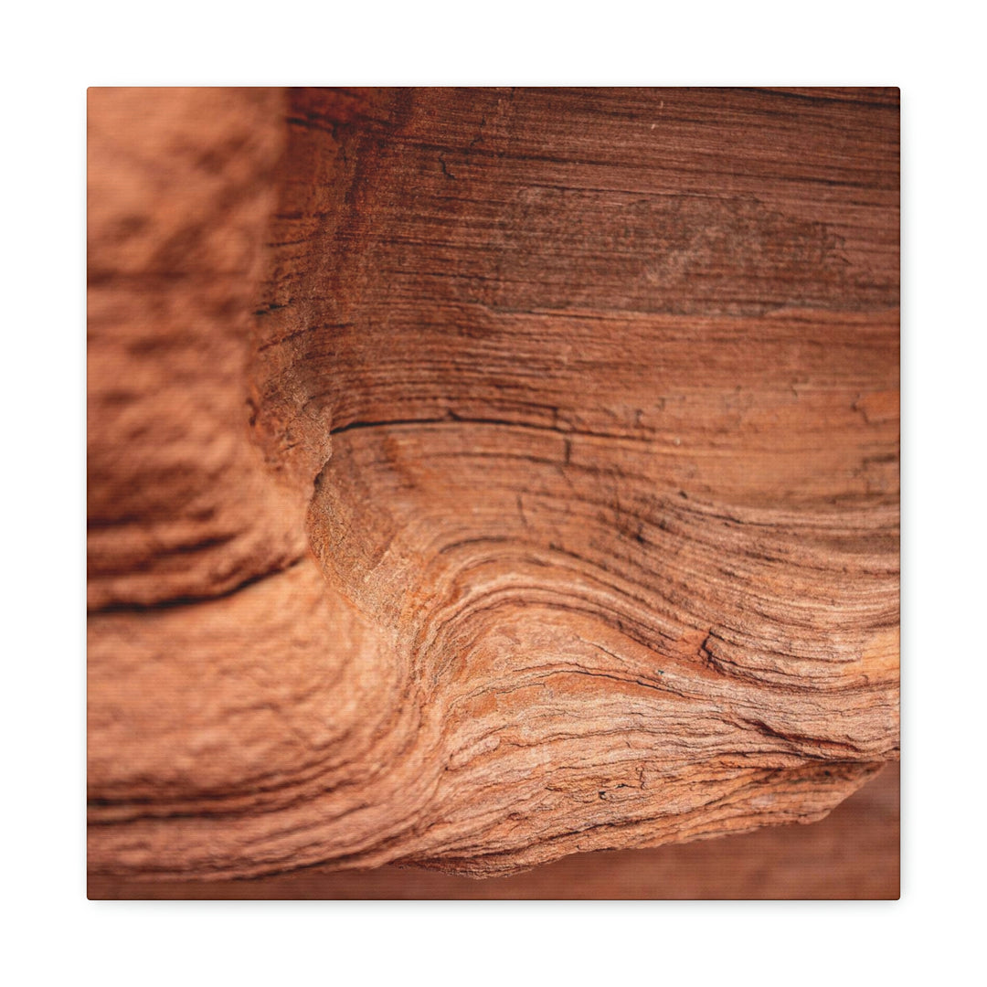 Sedimentary Rock Curves - Canvas