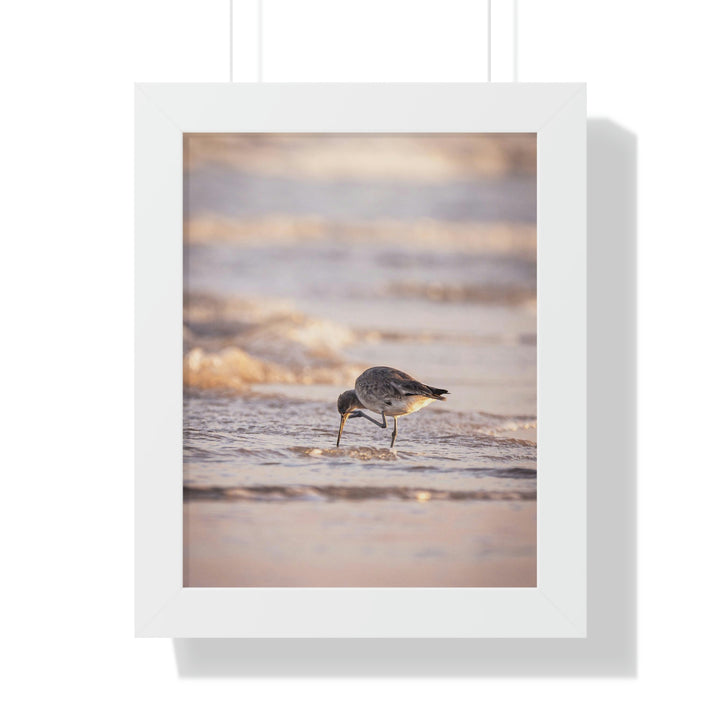 Willet Itch - Framed Print