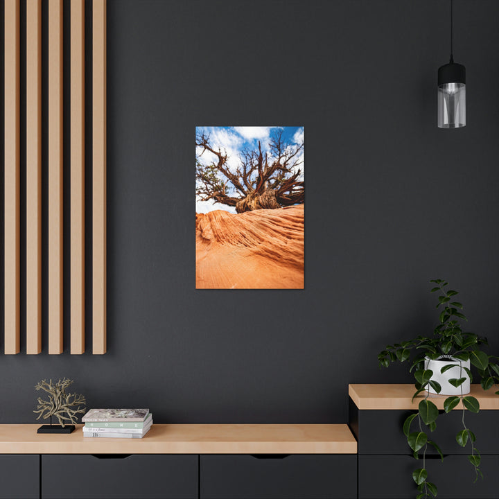 Desert Reach - Canvas