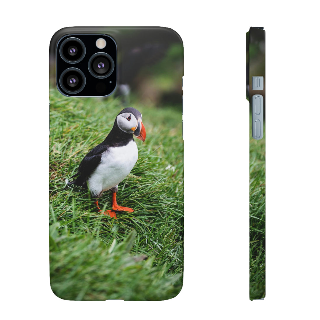 Curious Eye - Phone Case