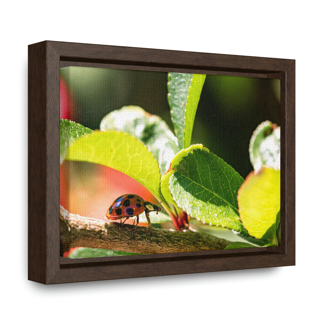 Spotted Investigation - Canvas with Frame