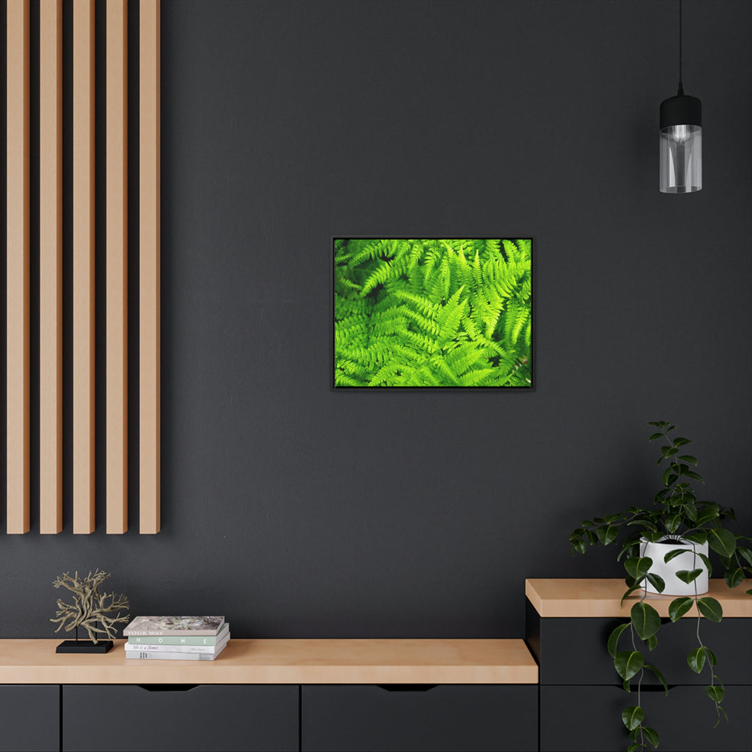 Ferns, Ferns, Ferns - Canvas with Frame