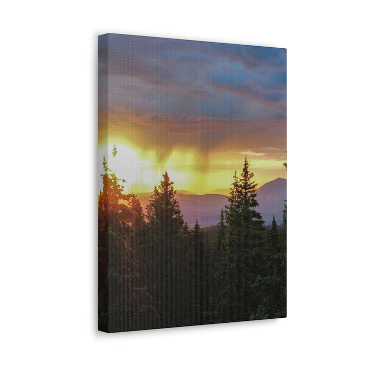 Rainy Sunset Through the Trees - Canvas