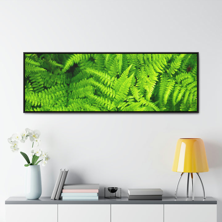 Ferns, Ferns, Ferns - Canvas with Frame