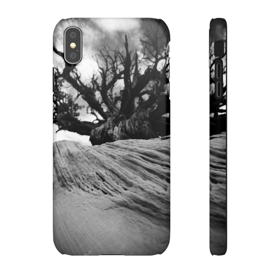 Desert Reach in Black and White - Phone Case