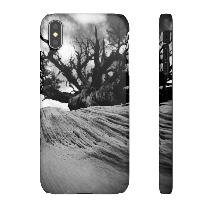 Desert Reach in Black and White - Phone Case