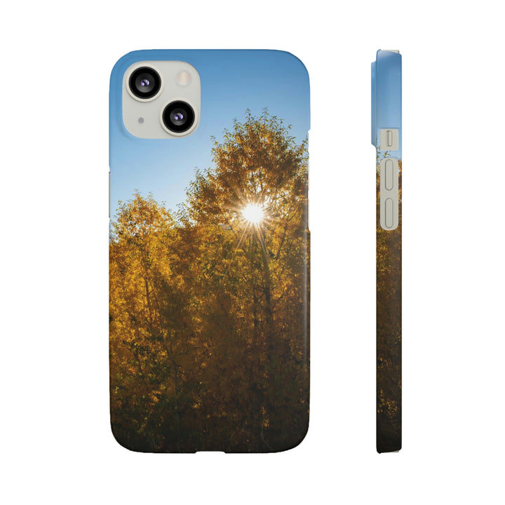 Sun Through the Aspens - Phone Case