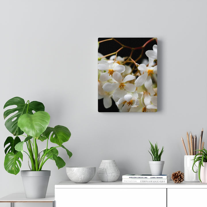 Floral Network - Canvas