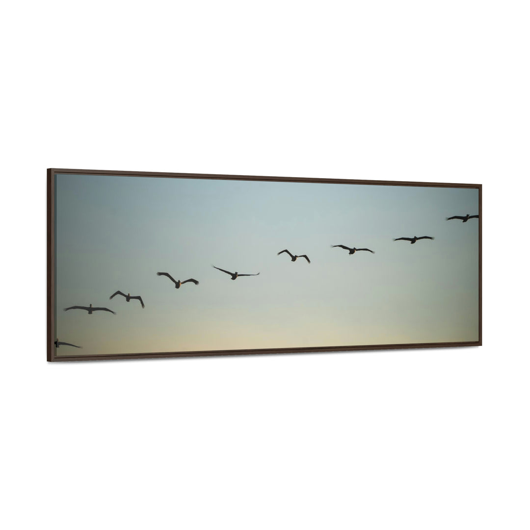 Brown Pelicans in Flight - Canvas with Frame