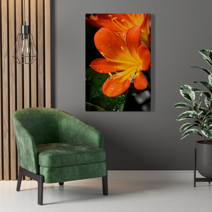 Bright Bush Lily - Canvas