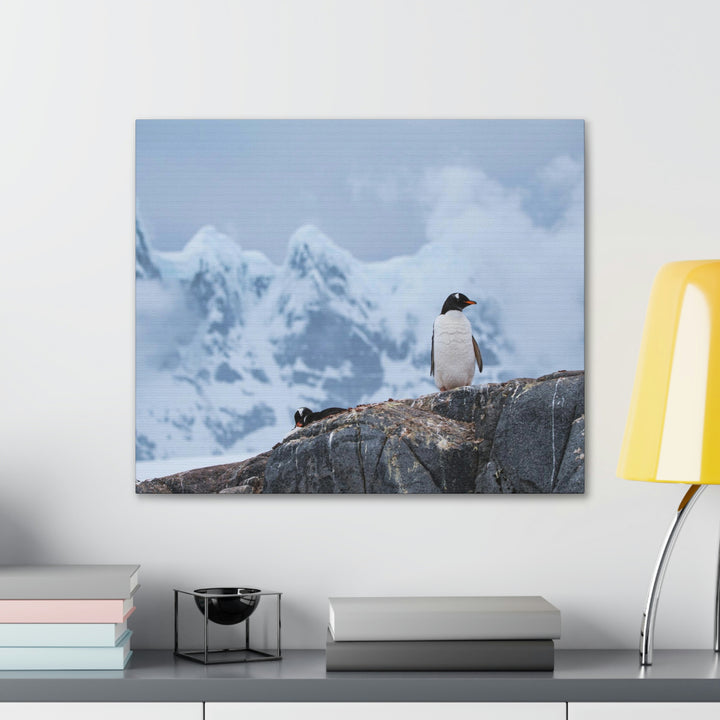 Poised Penguin - Canvas