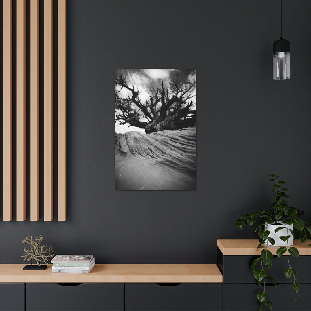 Desert Reach in Black and White - Canvas