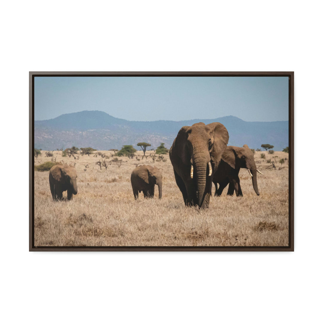 Family March - Canvas With Frame