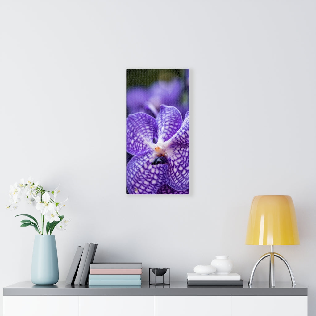 Orchid Detail - Canvas