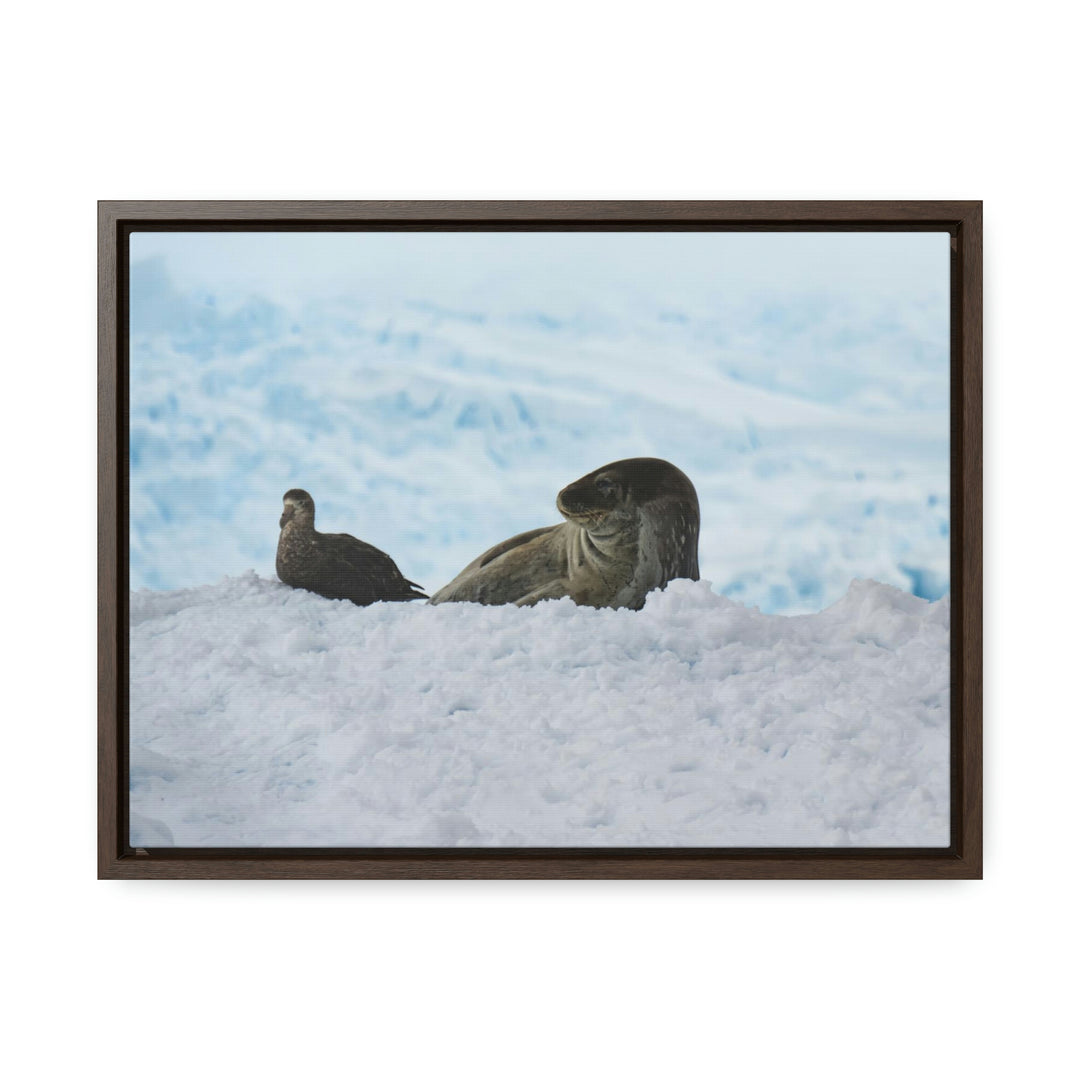 A Resting Pair - Canvas with Frame