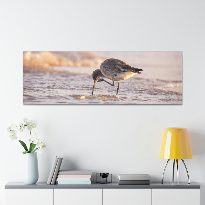 Willet Itch - Canvas