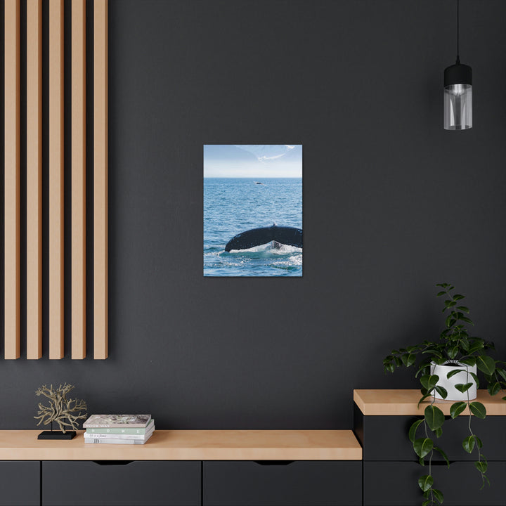 A Whale and A Mountain - Canvas